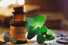 [PLACEHOLDER] Ganti dengan gambar Eucalyptus Oil